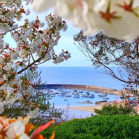 Apartamento Seabreeze Lyme Regis Exterior foto