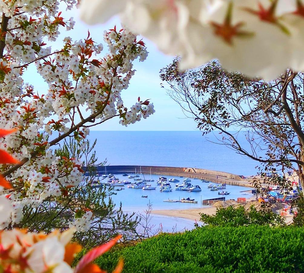 Apartamento Seabreeze Lyme Regis Exterior foto